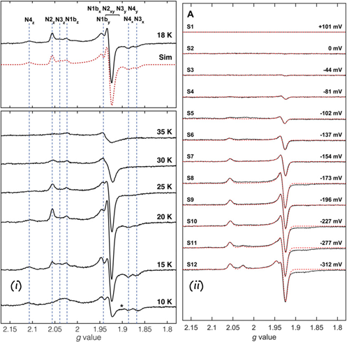 EPR based potentiometric titration courtesy of Maxie Roessler Queen Mary College, London